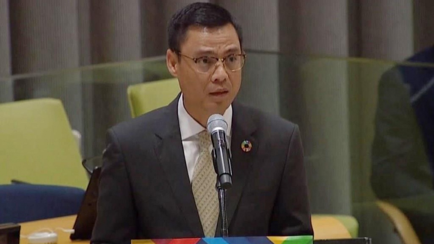 Vietnam pledges responsible contributions to SDG implementation